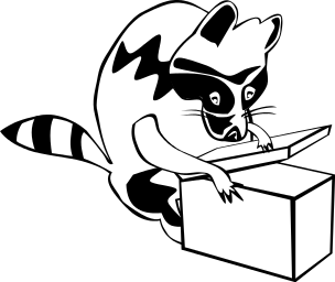 raccoon opening box