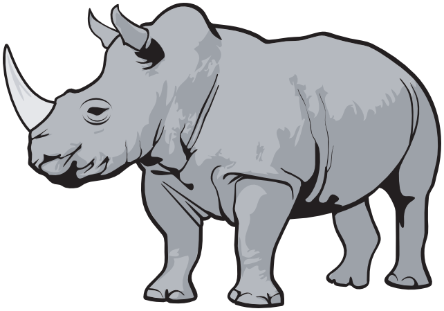 Rhino gray