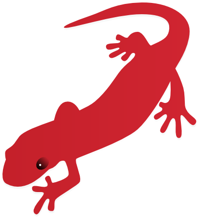 Salamander art red