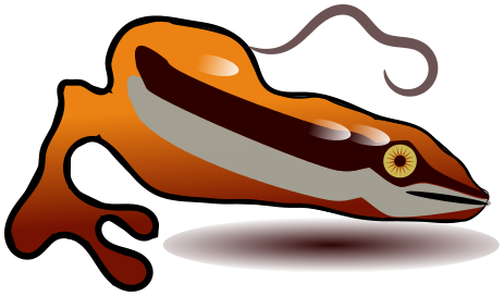 salamander clipart orange