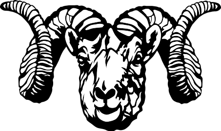 Dall Sheep Ram stylized