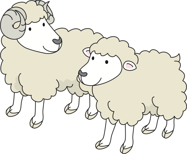 sheep-and-ram