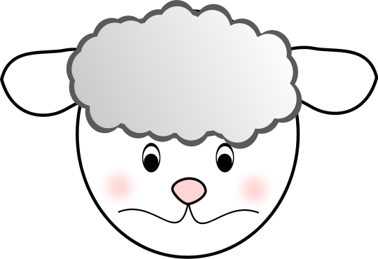 sheep sad