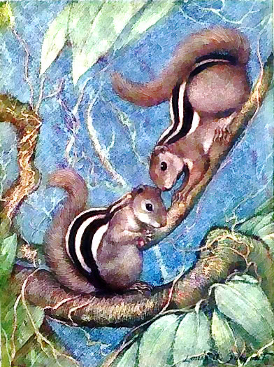indian striped squirrel