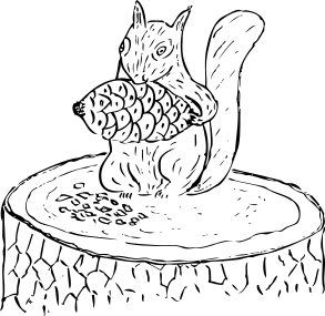squirrel eating pine cone