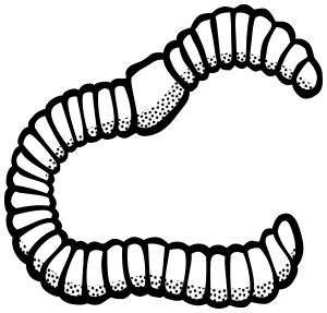 earthworm lineart