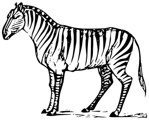 Zebra lineart