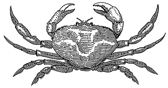 Crab BW