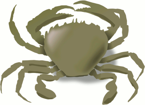 crab 9