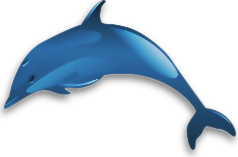 dolphin glossy blue