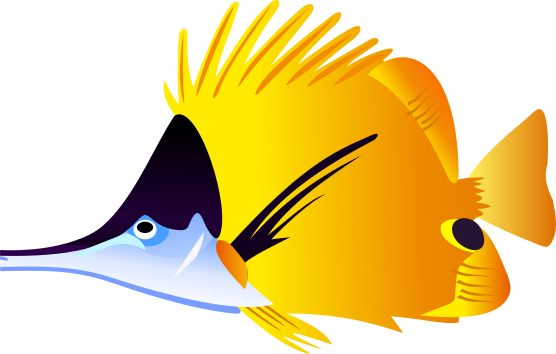 angelfish clipart