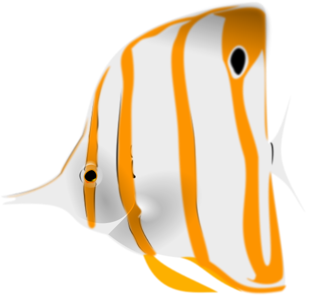 Copperband butterflyfish clipart