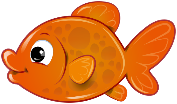 cute-goldfish