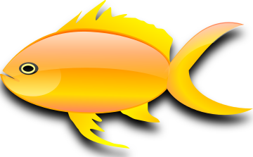 gold fish
