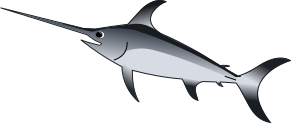 swordfish vector