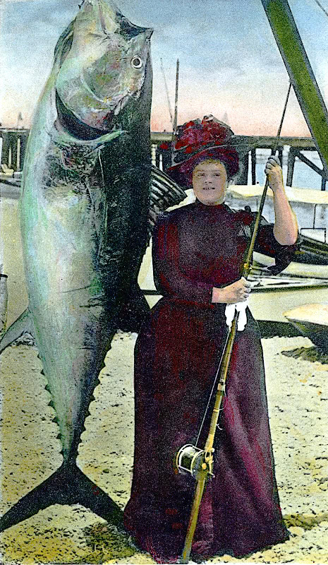 Pacific Bluefin 1913