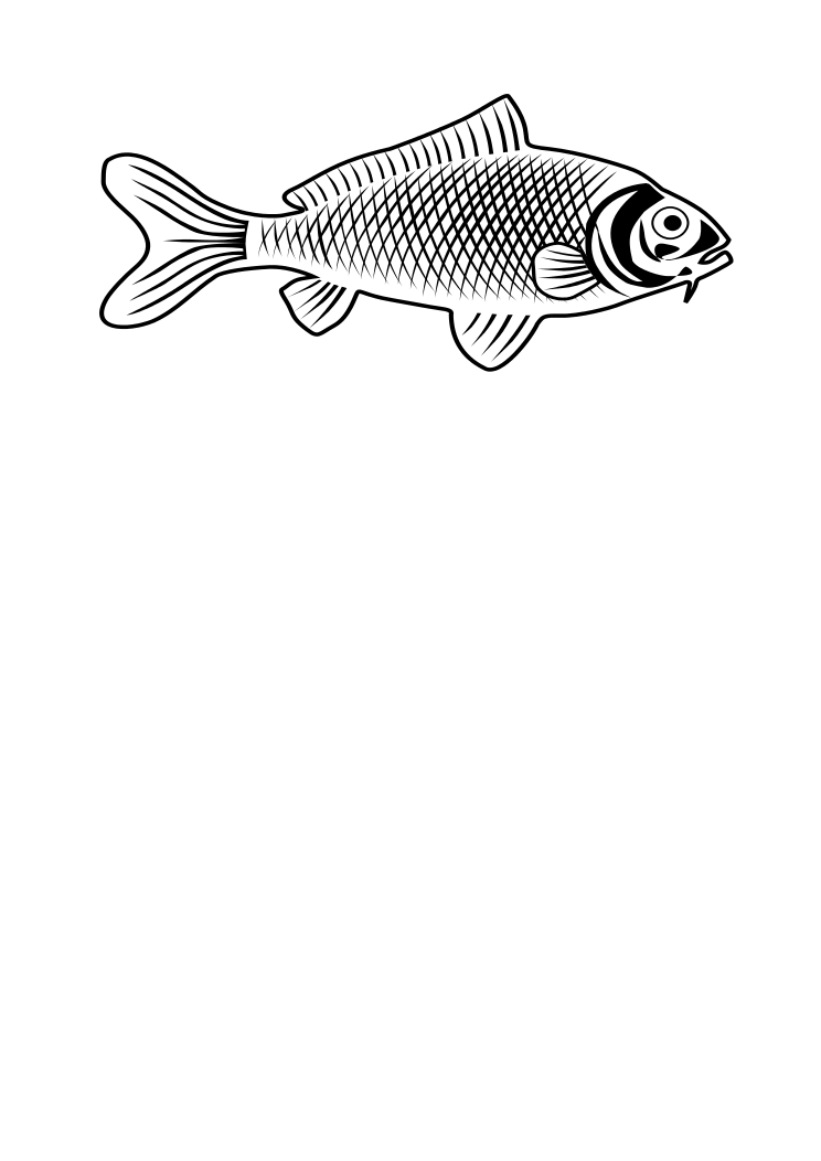 fish line art