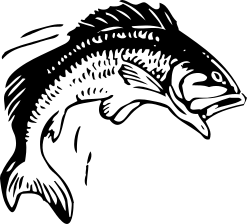 jumping fish outline