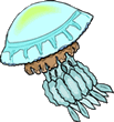 Jellyfish 08