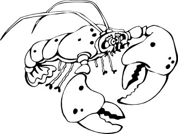 lobster clip art