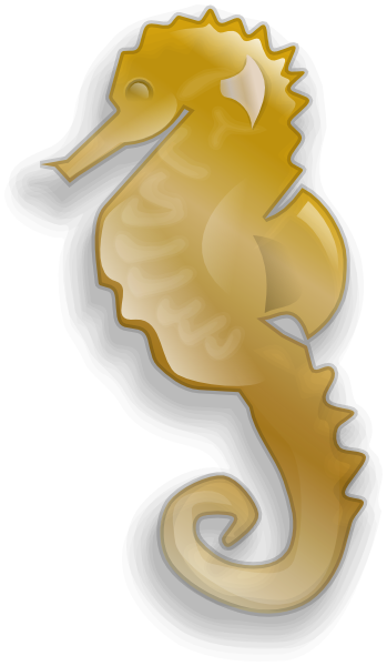 Seahorse gold