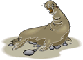 Elephant Seal 3