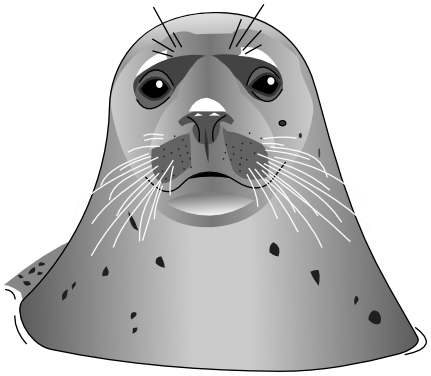 seal head