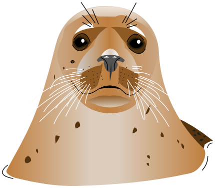 seal head brown