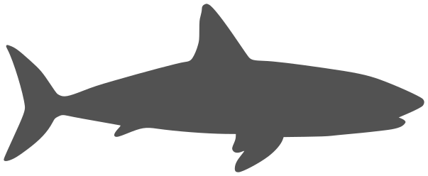 Great White shark silhouette