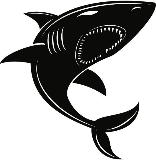 shark-6
