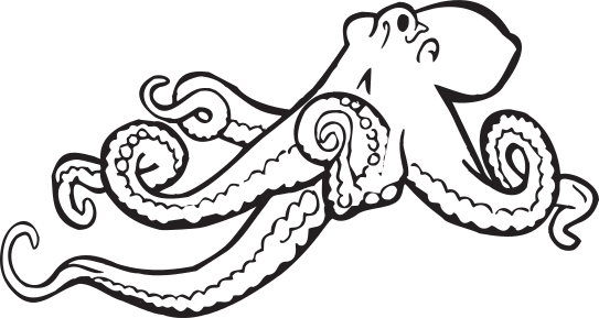 Octopus lineart