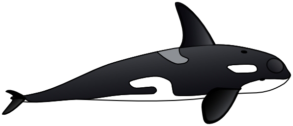 orca clip