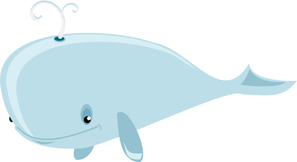 whale baby