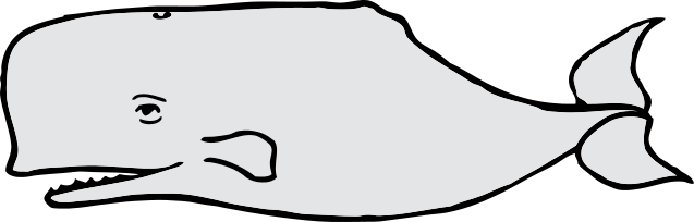 whale outline
