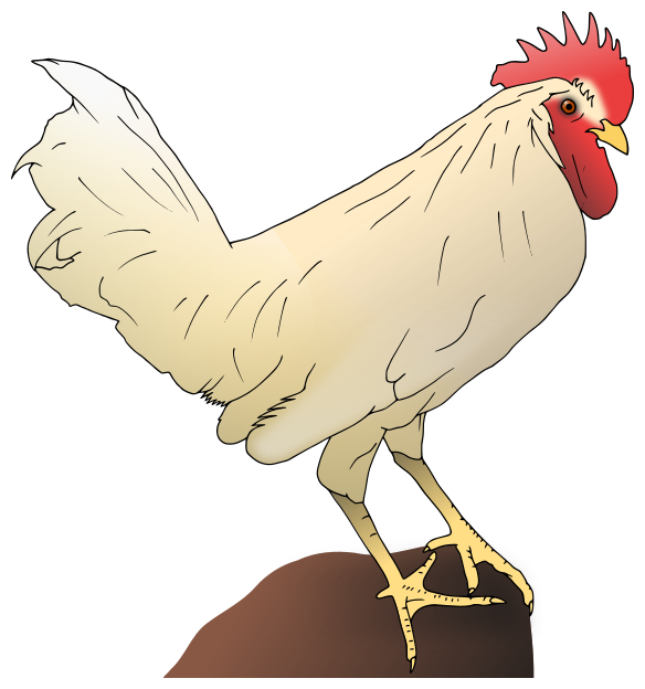 chicken-on-post