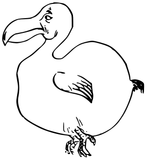 dodo bird sketch