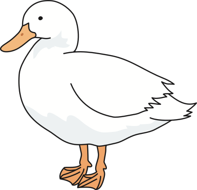 duck-white