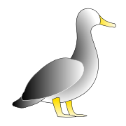 duck generic