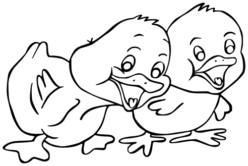ducklings-outline