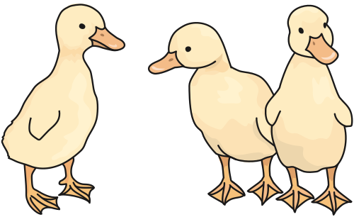 ducklings 3