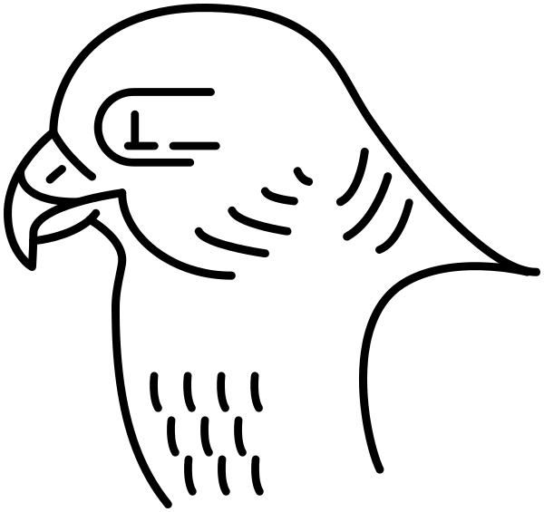 Peregrine Falcon head lineart