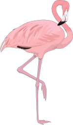 flamingo 4