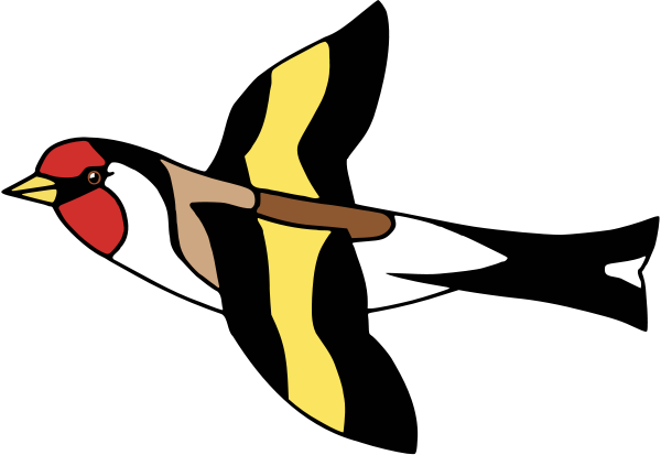 Goldfinch  Carduelis carduelis