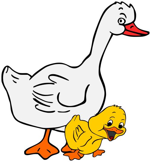Goose w gosling