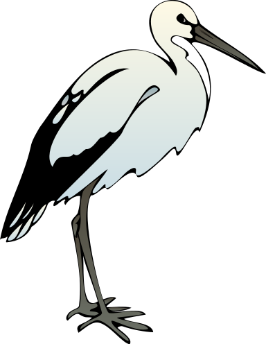 ibis clip art