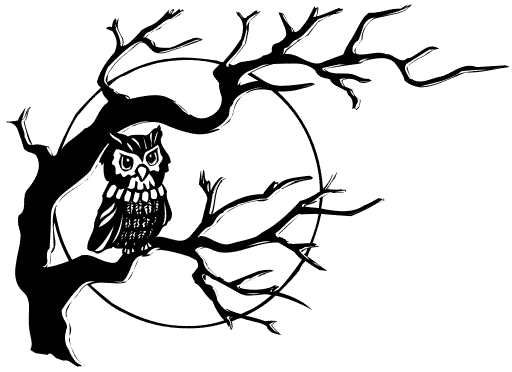 Owl in tree
