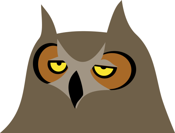owl bored