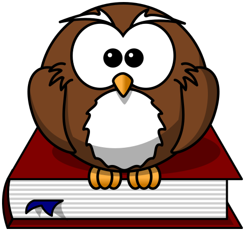 owl on book