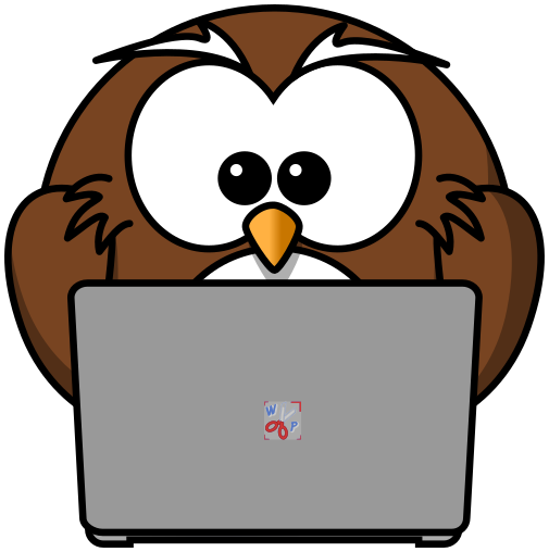 owl w laptop
