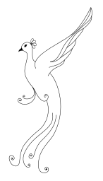 peacock sketch